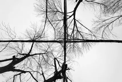 Crystal Kaszinó Mobilalkalmazás